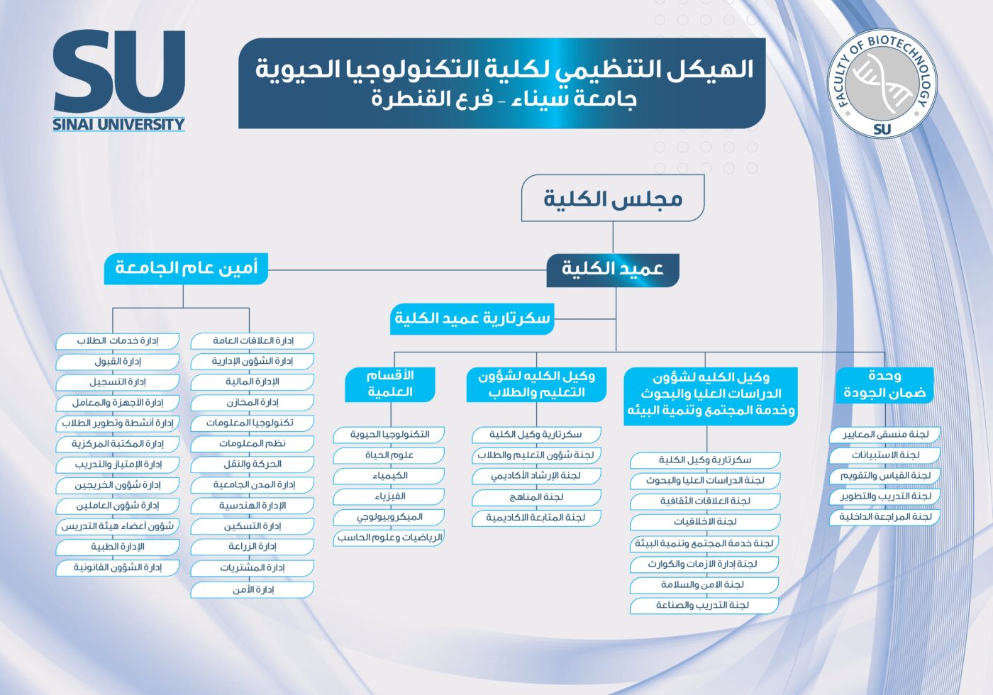 Organizational Structure